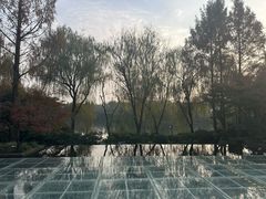 -杭州西子湖四季酒店·金沙厅