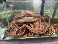 -万龙洲海鲜(大兴绿地缤纷城店)