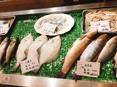 -乐山饺子城(长江北街店)