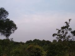 -聚龙山公园