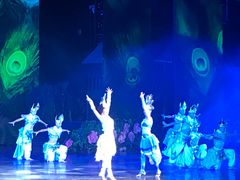 -澜沧江湄公河之夜歌舞篝火晚会
