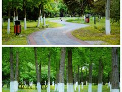 -永定河休闲森林公园