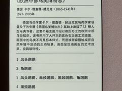 -四川大学博物馆