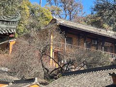 -天台山景区