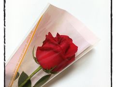 -Mr.Fruits水果先生(北京市百货大楼店)