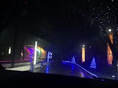 -枫花园汽车电影院(朝阳公园店)