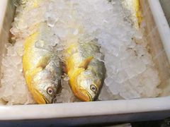 -乾隆美食·本帮菜(黄河路店)