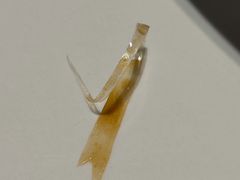 -必点海鲜·海肠捞饭大王(滨江道店)