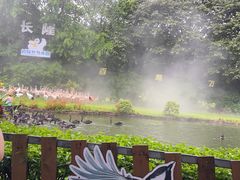 -广州长隆飞鸟乐园