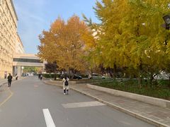 -中央民族大学