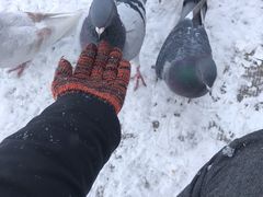 -龙口南山旅游景区