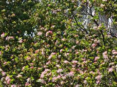 -杭州师范大学(下沙校区)