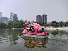 -团结湖公园
