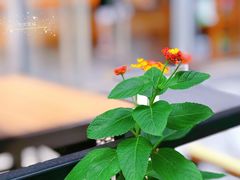 景观位-苗品记茶馆(时代天街D馆店)