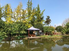 -洪湖家庭农场·团建·露营·会议