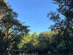 -三水森林公园