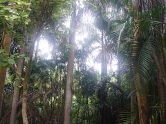 -金山植物公园