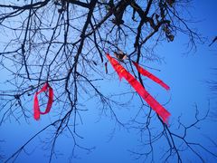 -终南山南五台景区