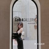 CorBrA Gallery