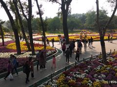 -北京植物园-展览温室