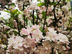 -元大都城垣遗址公园