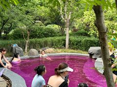 -清河半岛温泉度假酒店