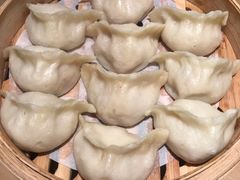 精肉包菜蒸饺-天怡興·百年蒸饺(中心书城店)