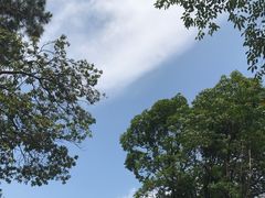 -南丹山森林王国