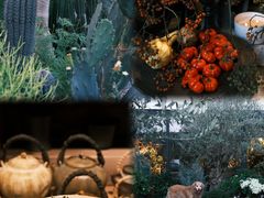 -自由生长植物工作室(深港花卉中心店)