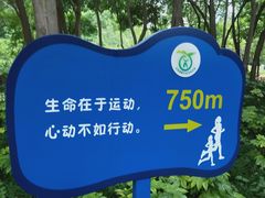 -西安市长乐公园