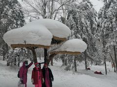 -毛毛春饼(尚志大街店)