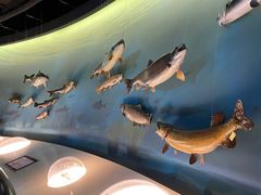 -陕西自然博物馆