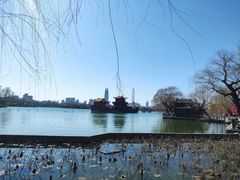 -济南大明湖景区