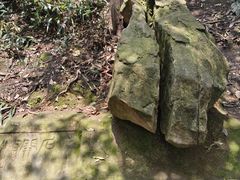 -缙云山景区