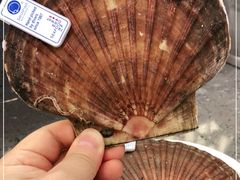 -HIHE Bistro·Oyster Bar(华熙live店)