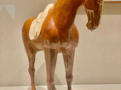 -深圳博物馆(古代艺术馆)
