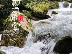 -神农架景区