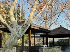 -春晖园度假酒店温泉