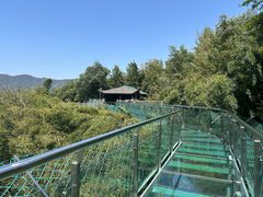 -陶祖圣境风景区