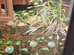 -邈墨茶馆(凤起路店)