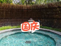 -广州都喜泰丽温泉度假酒店