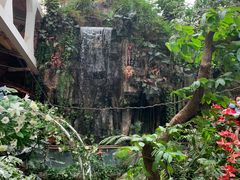 -正佳雨林生态植物园