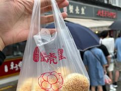 -江南蟹壳皇(新民桥店)