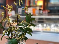 -Dal Cuore 达可芮冰淇淋(陕西北路店)