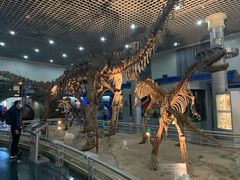 -国家自然博物馆