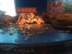 -苏州海洋馆