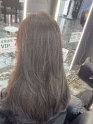 -藤野造型烫染优质