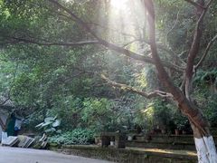-忠山公园