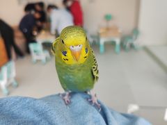 -怪兽屋·羊驼·猫咖·狗咖(俊华广场店)