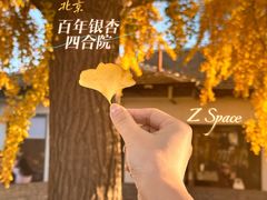 -自如ZSPACE四合院艺术餐厅